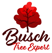 Busch